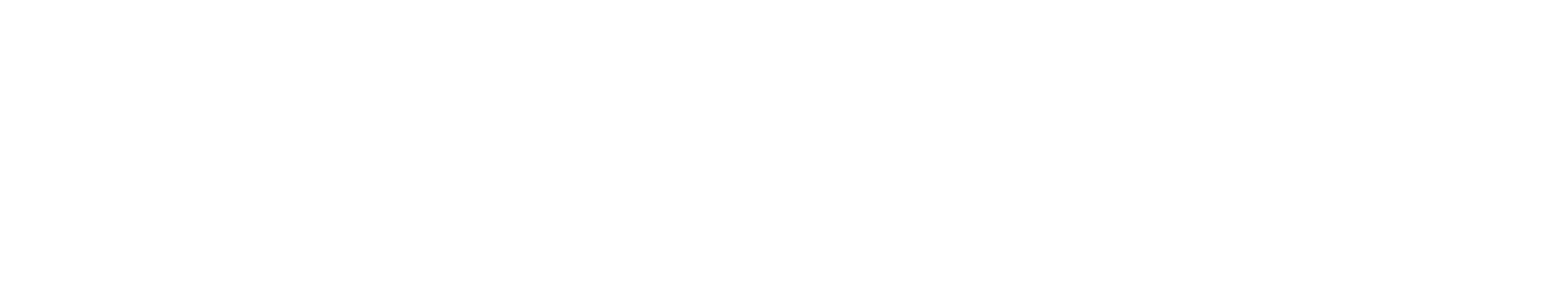 BASSIE